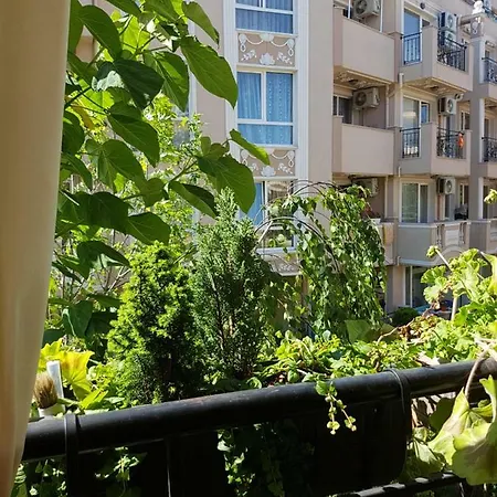 Zanier بيت ضيافة 3*